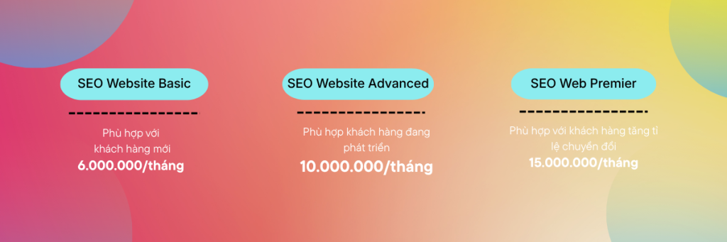 Dich Vu SEO Website 1